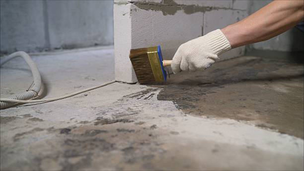 SJ Waterproofing Pros Exterior Waterproofing coverage map for Cologne, MN and surrounding area